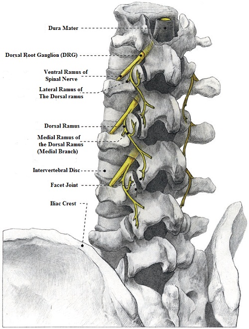 Thoracic Spine Facet Irritation